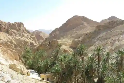 From Tunis: 3-Day Sahara Desert and Star Wars Tour