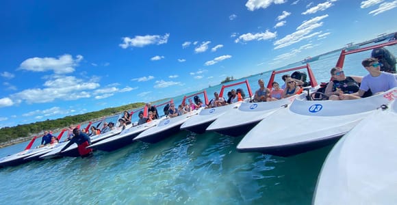 Nassau: Self-Drive Speedboat Ride and Pig Swimming Encounter