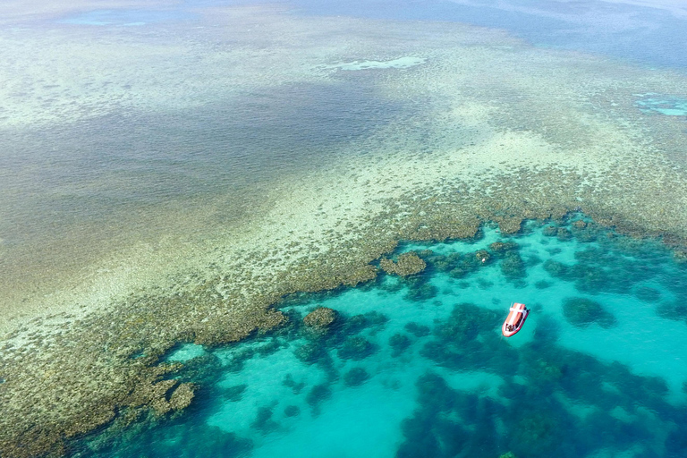 Port Douglas : Visite d&#039;une demi-journée à Outer Reef avec plongée en apnée