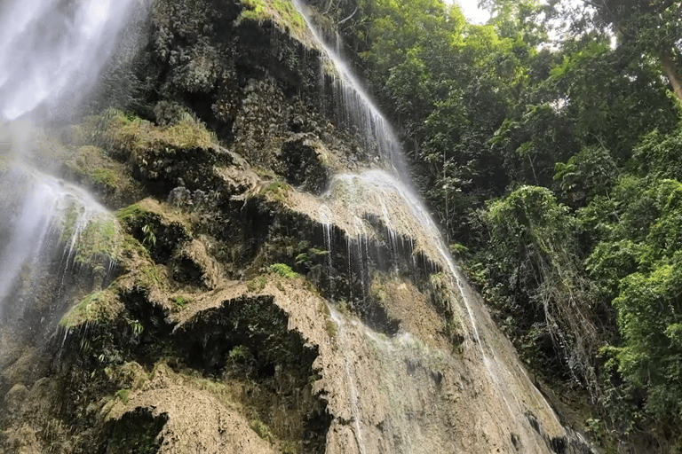 Oslob: Whale Sharks, Tumalog Falls & Sumilon Trio Adventure