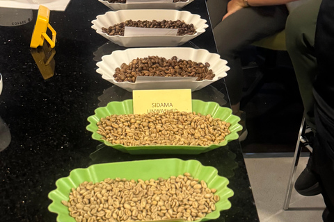 Where Coffee Was Born: Addis Ababa Culture & Highlands Tour