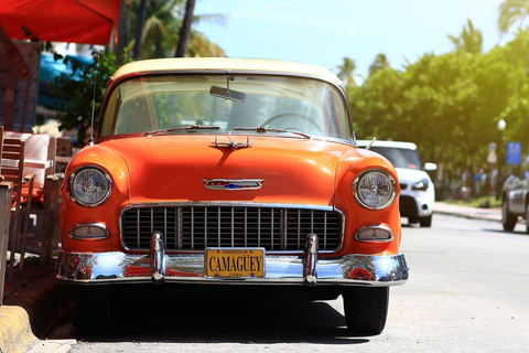 Miami Beach Photo Walk & Workshop