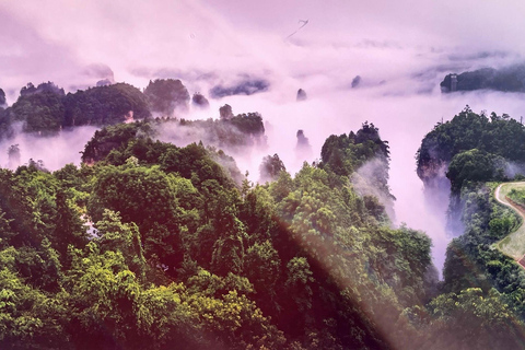 Zhangjiajie Private Day Tour: Rice Terraces,Elevator &Avatar Opt C: Private Transfer and Tour Guide – Downtown