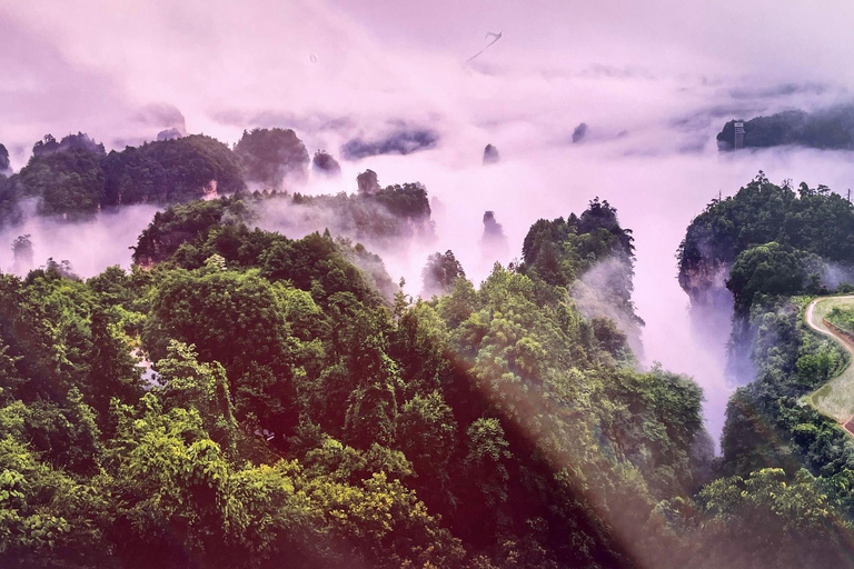 Zhangjiajie Private Day Tour: Rice Terraces,Elevator &Avatar Opt C: Private Transfer and Tour Guide – Downtown