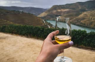 Porto: Halbtagestour durch das Douro-Tal mit Wein und Foodtour