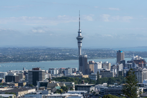 Auckland Family Tales: Stroll Through The City Of Sails Spanish guided tour
