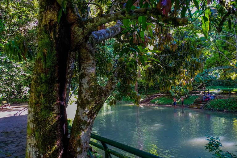 Tingo Maria: Owls Cave & Santa Carmen