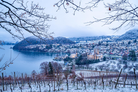 Prywatny całodzienny kierowca z Interlaken&gt;Thun, Spiez, jezioro