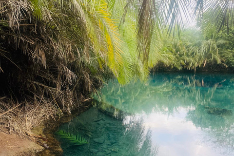 Arusha/Moshi: Cachoeira Materuni, Tour do Café e TermasSÓ CASCATAS DE MATERUNI + PASSEIO DE MOTORINA COM CAFÉ