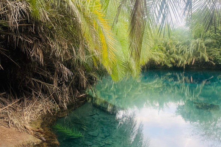 Arusha/Moshi: Cachoeira Materuni, Tour do Café e TermasSÓ CASCATAS DE MATERUNI + PASSEIO DE MOTORINA COM CAFÉ