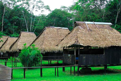 Cuyabeno: Amazon Adventure with Pink Dolphins, Wildlife, and the Siona Community Cuyabeno: Amazon Adventure with Pink Dolphins, Fauna and Flora, and the Siona Community
