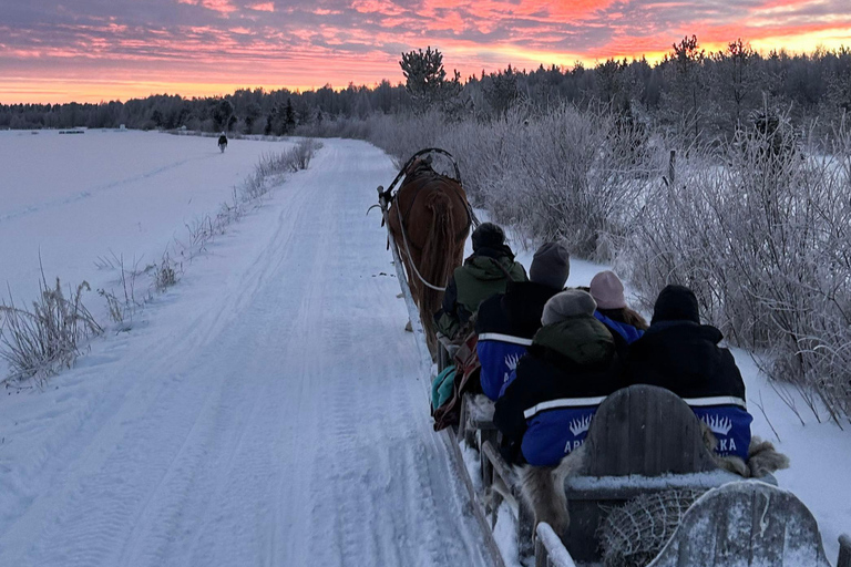 Rovaniemi: Traditional Finnhorse Sleigh Ride and Lunch