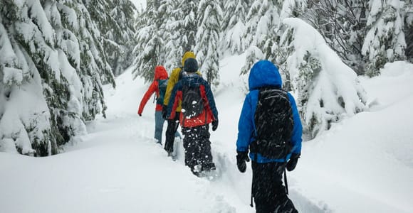 Lucerne: Snowshoe Hiking Adventure to Glaubenberg Langis