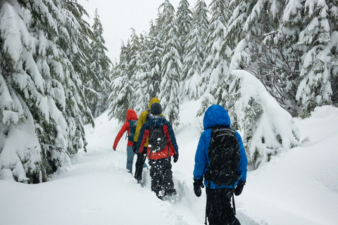 Lucerna: Aventura de senderismo con raquetas de nieve a Glaubenberg LangisLucerna: Aventura de senderismo con raquetas de nieve hasta Glaubenberg Langis