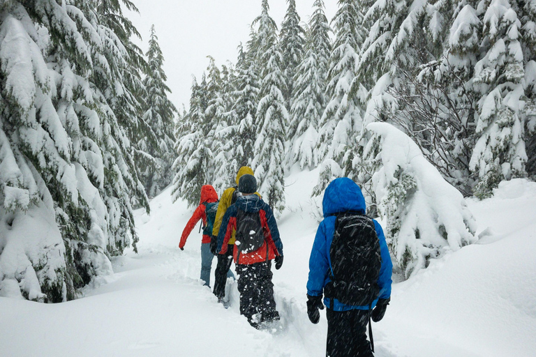 Lucerne: Äventyr med snöskovandring till Glaubenberg Langis