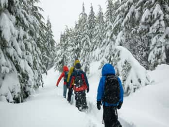 Chamonix: Raquetas de nieve bajo las estrellas