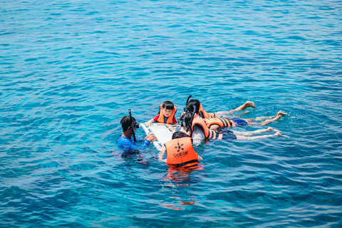 Phuket Dolfijn Zoektocht: Expeditie naar Racha &amp; Maiton eiland