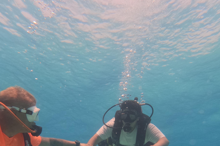 Muscat : Les îles Daymaniat s&#039;essaient à la plongée sous-marine