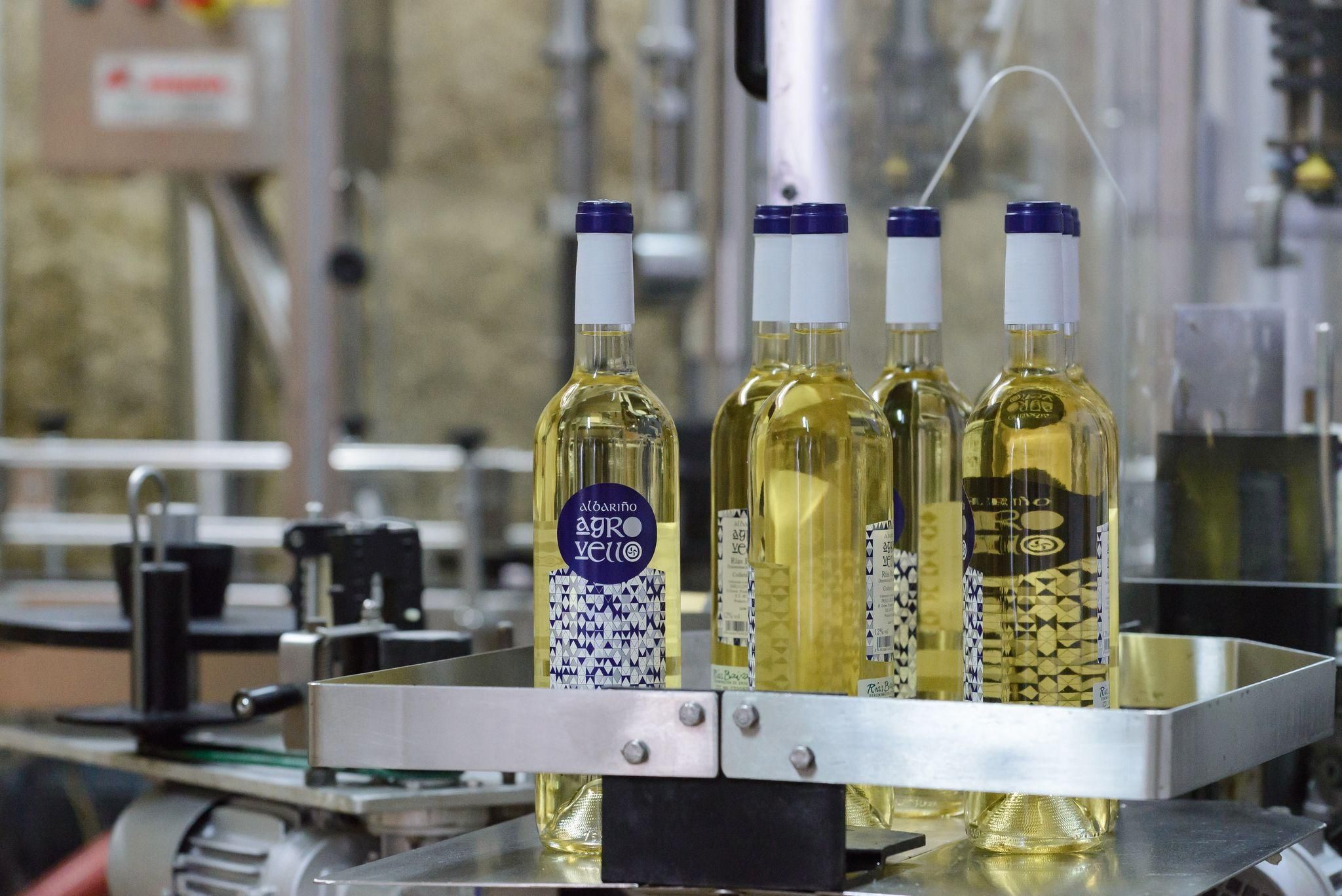O Grove: Geführte Besichtigung eines Familienweinguts und Verkostung von Albariño-Wein