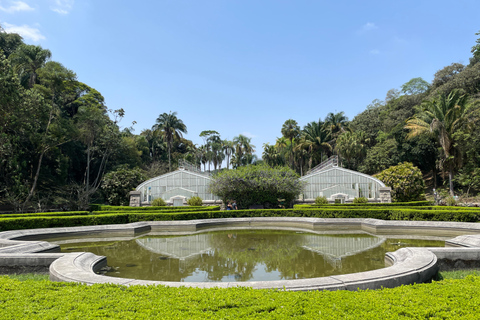 圣保罗：植物园与生物学家导览游（周末）生物学家带你游览圣保罗植物园
