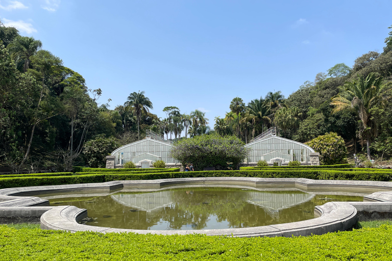 圣保罗：植物园与生物学家导览游（周末）生物学家带你游览圣保罗植物园