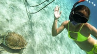 Curaçao, Turtle Bay & Blue Room Tour с подводным плаванием - Housity