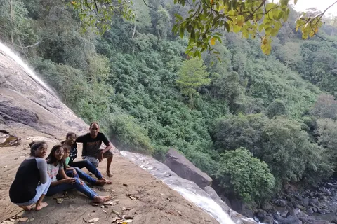 Munnar: Tea Garden and Elephant Safari Trip by 4x4