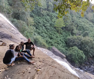 Munnar: Tea Garden and Elephant Safari Trip by 4x4