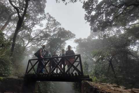 Hidden Trails of Knuckles & Meemure –3-Day Adventure Getaway From Kandy: 3-Day Wilderness Escape: Knuckles & Meemure