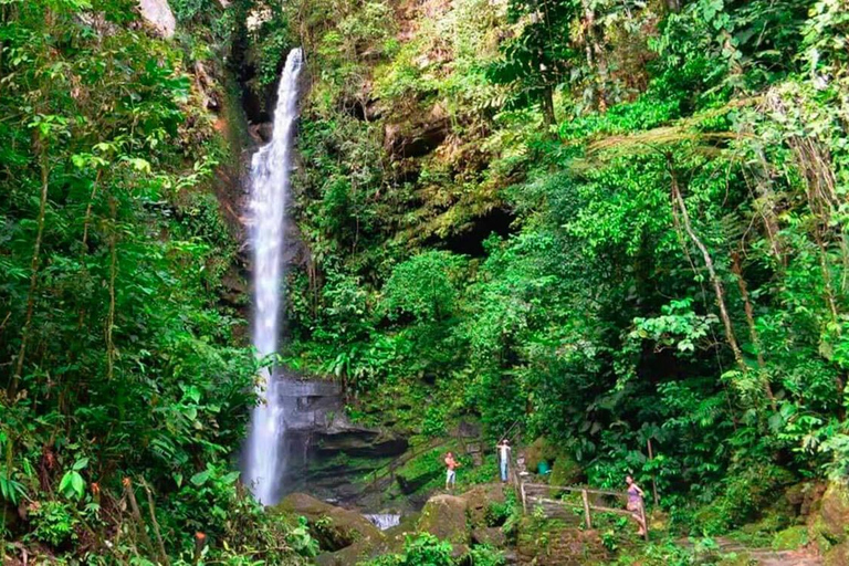 La grandezza della natura - Escursione alle cascate di Ahuashiyacu