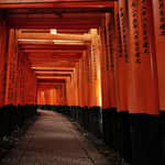Kyoto: Tour mattutino con guida in inglese