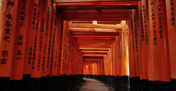 An empty gravel path running away under a long tunnel of vermilion torii, black-painted bases on both sides, no people