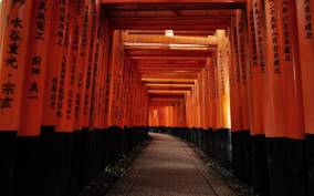 Kyoto: Early Morning Tour with English-Speaking Guide