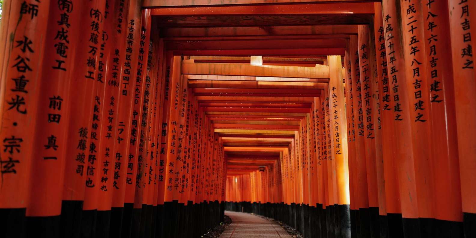Kyoto: Early Morning Tour with English-Speaking Guide
