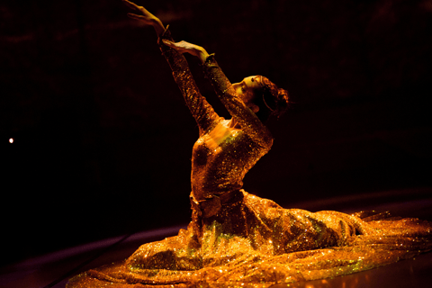 Turkish Dance Show at Hodjapasha Cultural Centre in Istanbul