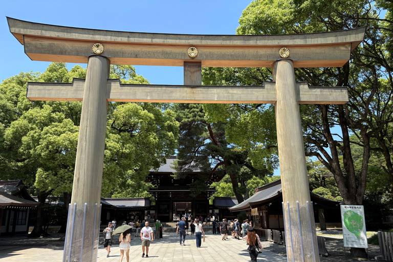 Tokio: privétour met gids langs tempels en heiligdommen per autoPremium SUV voor 3 personen