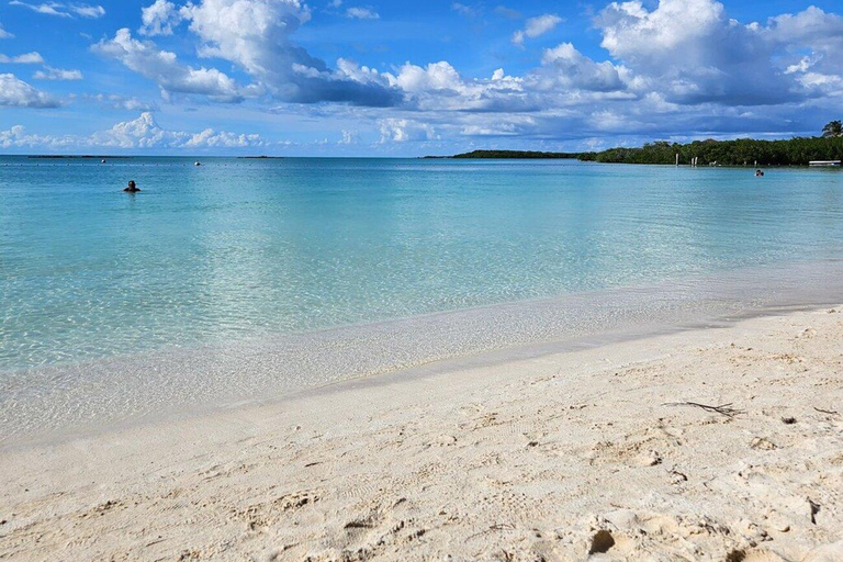 Riviera Maya: Isla Contoy and Isla Mujeres Full-Day Tour