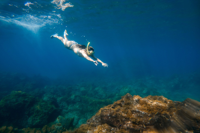 Rosario Islands from Cartagena: Catamaran, Snorkeling, and All-Inclusive 5 Rosario Islands from Cartagena: Catamaran, Snorkeling, and All-Inclusive