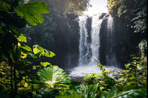 Kinuka Mori: Cultural and Nature day Trip with Lunch