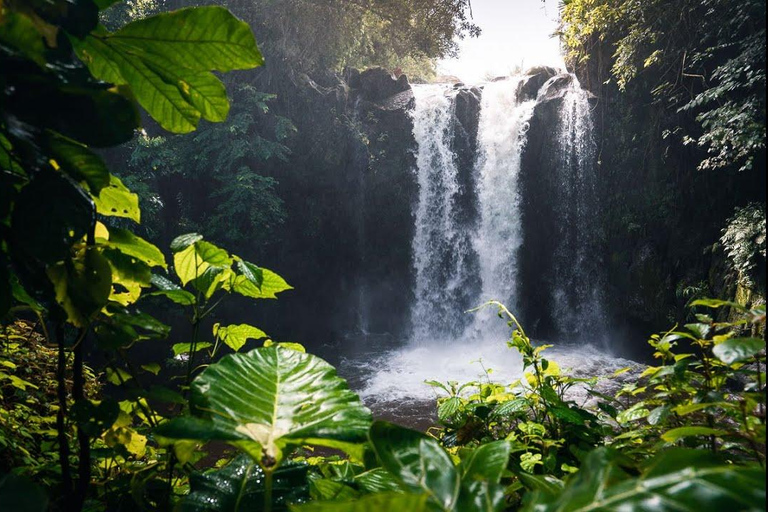 Kinuka Mori : excursion culturelle et nature avec déjeuner