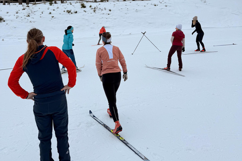 Pokljuka & Planica: Cross-Country Skiing Experience Group Lesson