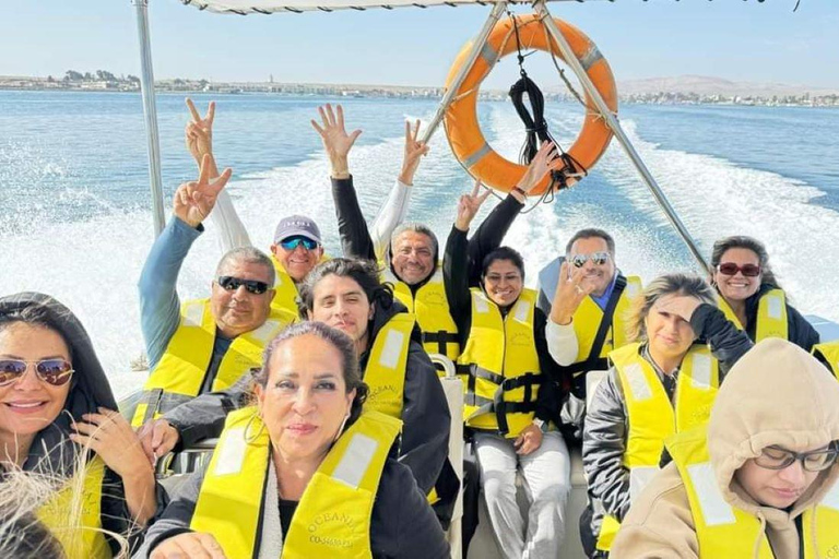 From Lima: 2 days tour Ica Paracas