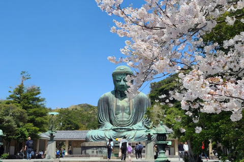 Tokyo, Mt. Fuji, Kyoto, Osaka: 7-Day Private Tour of Japan