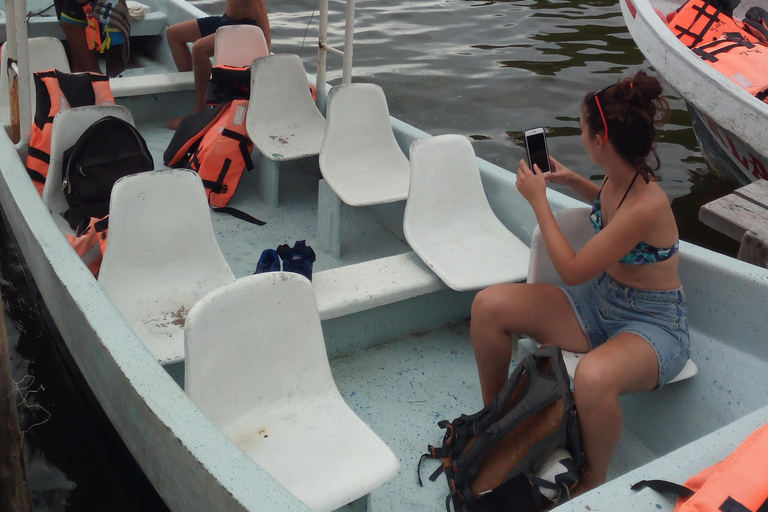 BIOLUMINESZENZ IN PUERTO ESCONDIDO