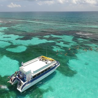 From Cancun or Riviera Maya: Isla Contoy & Mujeres Day Trip