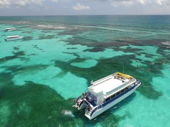 Da Cancun o dalla Riviera Maya: escursione di un giorno a Isla Contoy e Mujeres