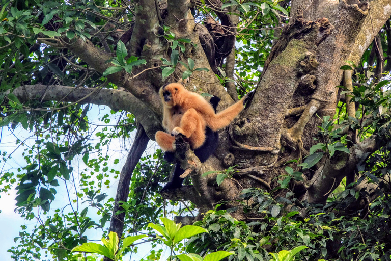 Hanoi: Van Long Wetland, Bear Sanctuary, Cuc Phuong Tour