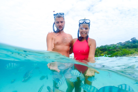 Phuket: Coral Island "Lazy Day" Speedboat Tour