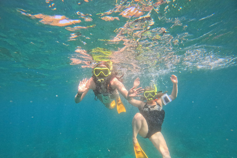 Private: Catamaran Adventure &amp; Beach BBQ at Catalina Island