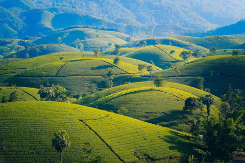 Sri Lanka: Hill Country 3-Day Tour